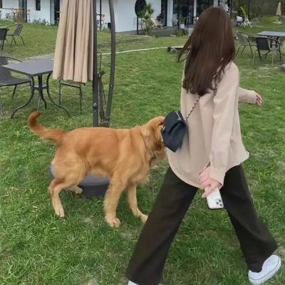 七月与安生