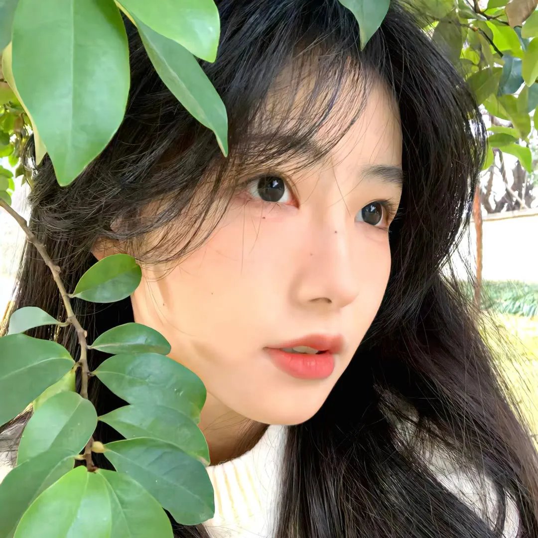 完美的主人